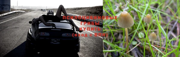 дурь Богородск