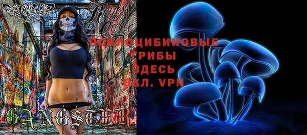 mdma Богданович