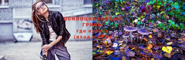 mdma Богданович