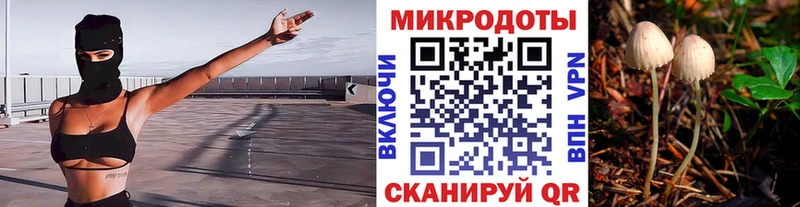 MEGA маркетплейс  Ува  Галлюциногенные грибы Psilocybe 